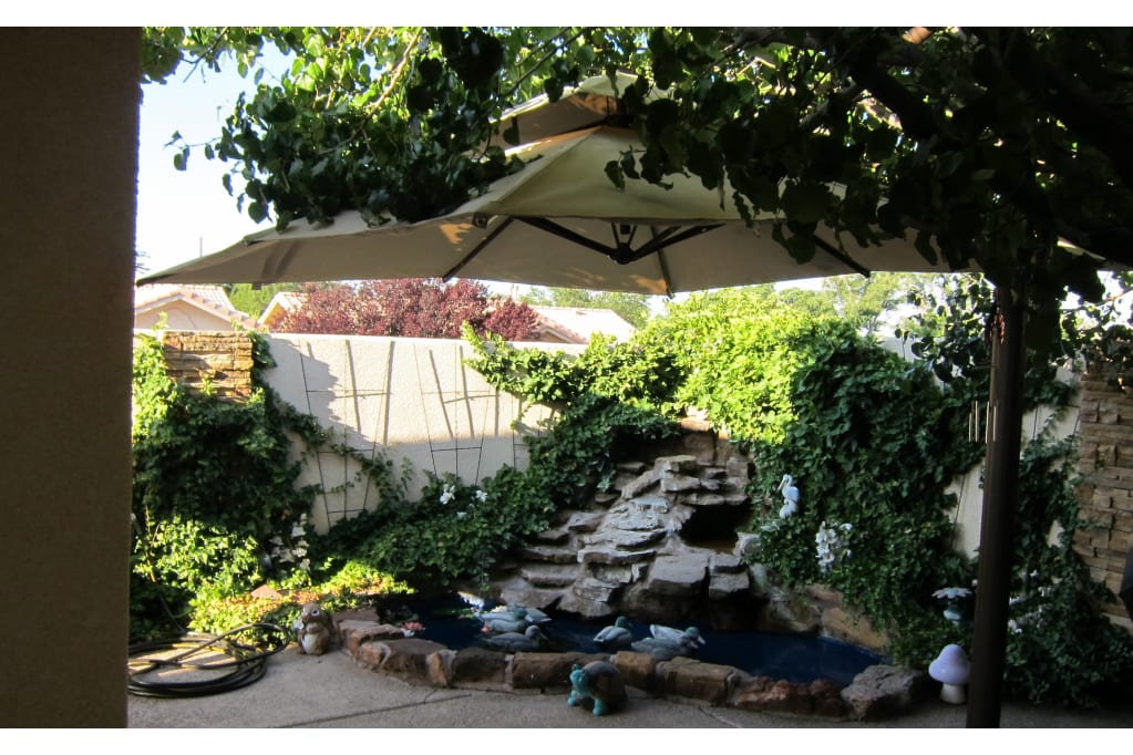 Buena Vista Senior Care