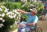 Senior Living Systems