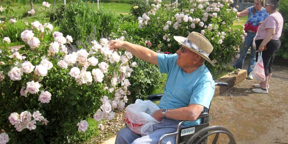 Senior Living Systems